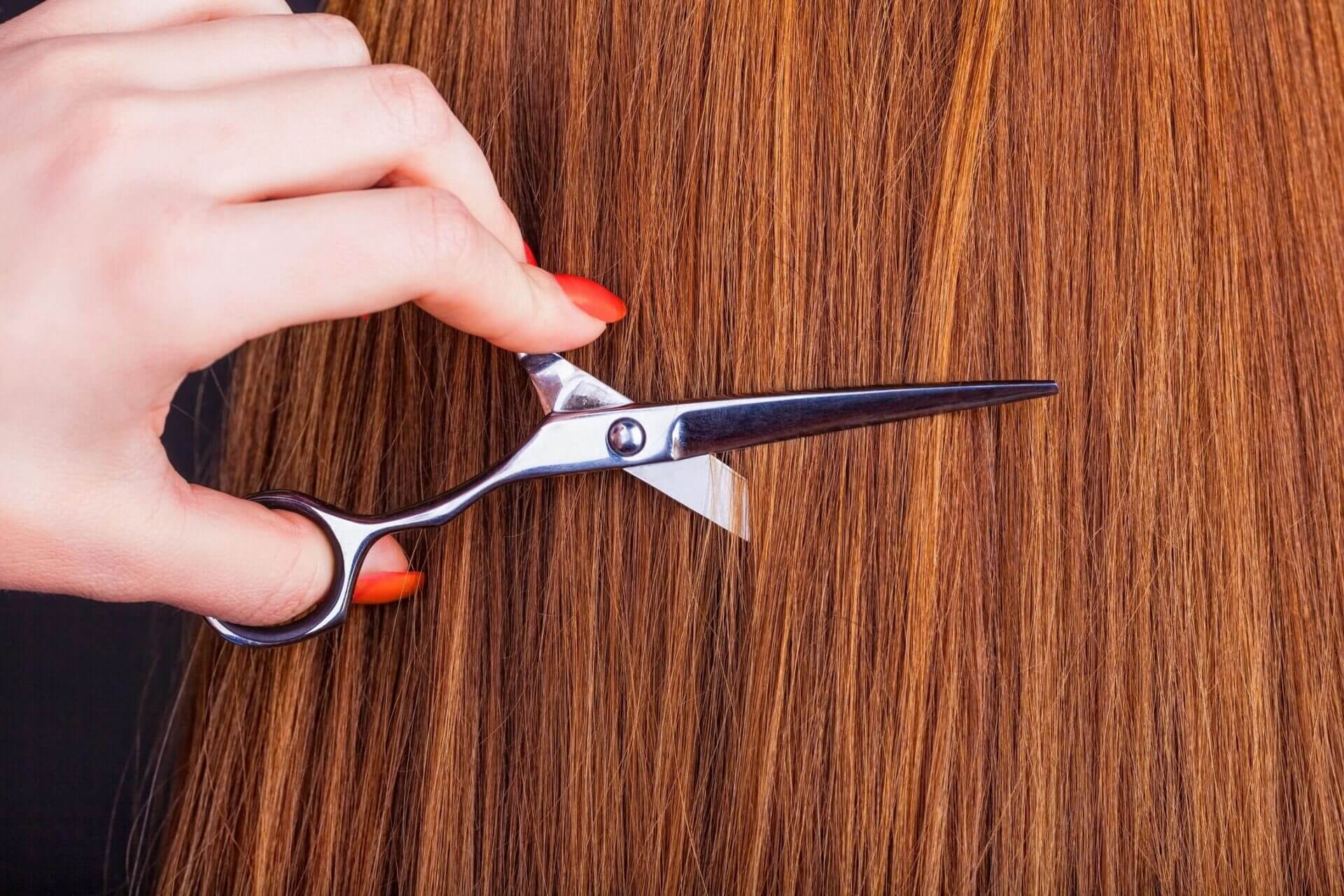 Closeup shot of a hand cutting hair with scissors